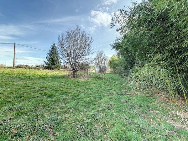 Terrain de plus d'un hectare dont 2 400 m² à bâtir entre Varennes-Saint-Sauveur et Saint-Amour