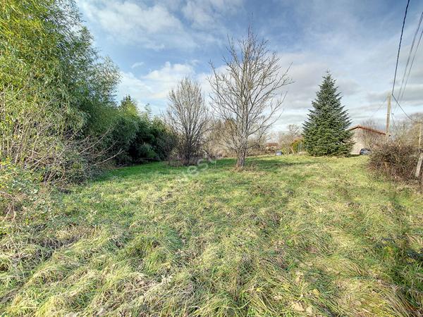Terrain de plus d'un hectare dont 2 400 m² à bâtir entre Varennes-Saint-Sauveur et Saint-Amour