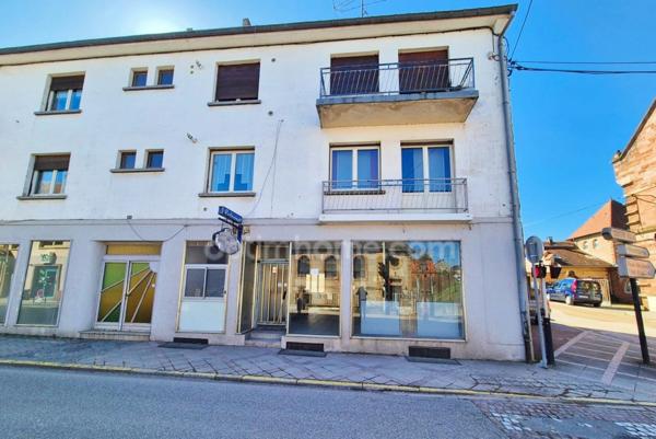 INVESTISSEMENT LOCATIF rentable À BITCHE (57230) - MOSELLE - Vosges du Nord