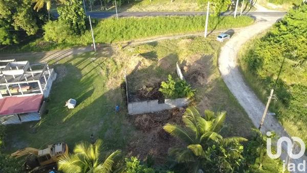 Terrain à vendre 1 000 m² Grand-Bourg