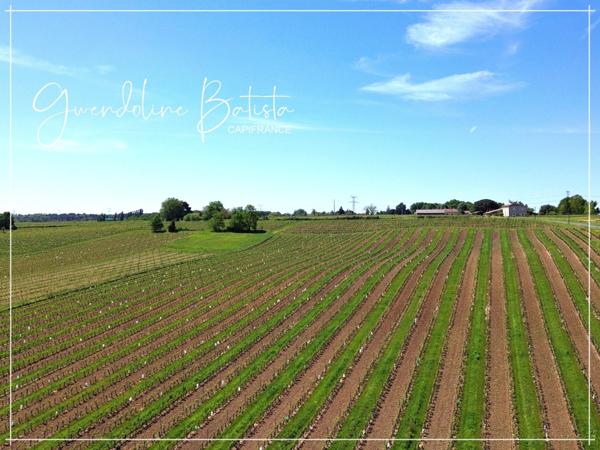 Maison contemporaine 145m² avec vue dégagée - Terrain 4531m²