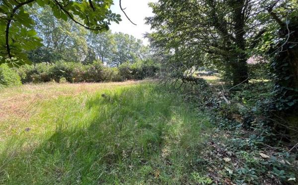 Terrain à vendre 226 800 € Auzeville-Tolosane 1210 m² DPE