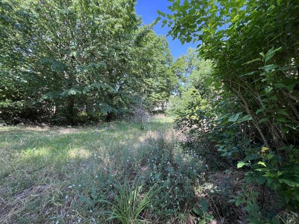 Terrain à vendre 226 800 € Auzeville-Tolosane 1210 m² DPE