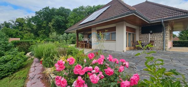 Maison d’architecte avec un jolie terrain arboré