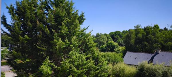 Appartement T2 Orvault Bourg