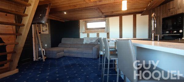 METABIEF Chalet "PAGOTIN" 2 chambres