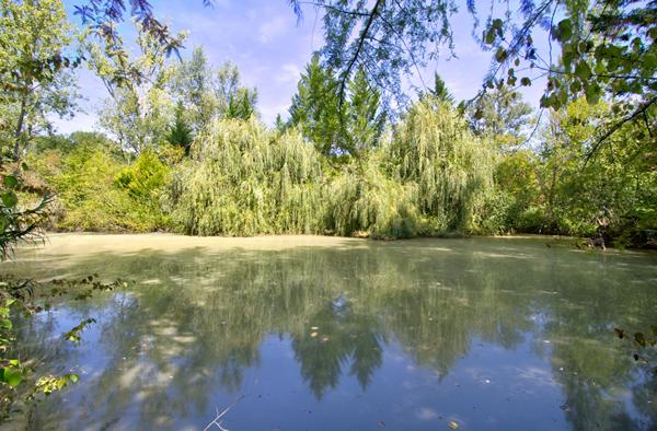LAYRAC proche AGEN - Maison de maître de 240 m² avec dépendances et étang, située sur 4,5 hectares.