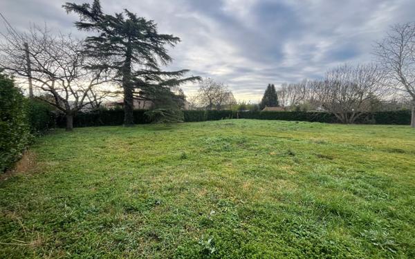 Terrain à vendre    Noé