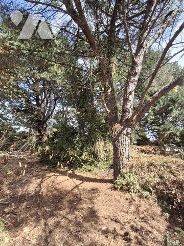 COUERON Bourg ! Maison de plain-pied 3 ch de 86 m2 sur sous-sol complet. Parc Boisé de 3157 m2