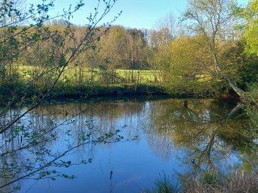 Terrain de loisirs à vendre à Luzillé dans l'Indre-et-Loire (37150), ref : 11893/504 Terrain de loisirs à vendre à Luzillé dans l'Indre-et-Loire (37150), ref : 11893/504 Terrain de loisirs à vendre à Luzillé dans l'Indre-et-Loire (37150), ref : 11893/504