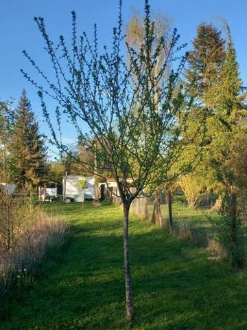Terrain de loisirs à vendre à Luzillé dans l'Indre-et-Loire (37150), ref : 11893/504 Terrain de loisirs à vendre à Luzillé dans l'Indre-et-Loire (37150), ref : 11893/504 Terrain de loisirs à vendre à Luzillé dans l'Indre-et-Loire (37150), ref : 11893/504