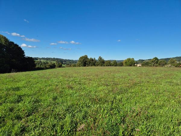 Terrain 11 387 m2