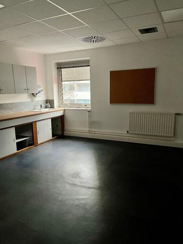 Spacieux local professionnel à louer - Centre de Rillieux-la-Pape