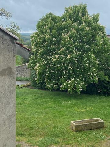 Un coin de paradis à 15 minutes de Mirepoix — Pour changer de vie sans renoncer à l’essentiel  Fanjeaux (11270)