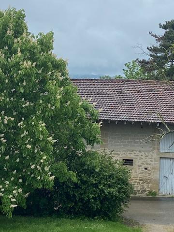 Un coin de paradis à 15 minutes de Mirepoix — Pour changer de vie sans renoncer à l’essentiel  Fanjeaux (11270)