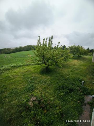 Un coin de paradis à 15 minutes de Mirepoix — Pour changer de vie sans renoncer à l’essentiel  Fanjeaux (11270)