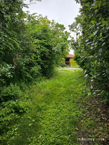 Un coin de paradis à 15 minutes de Mirepoix — Pour changer de vie sans renoncer à l’essentiel  Fanjeaux (11270)
