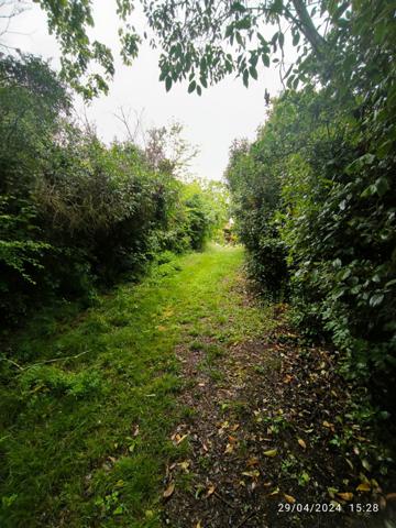 Un coin de paradis à 15 minutes de Mirepoix — Pour changer de vie sans renoncer à l’essentiel  Fanjeaux (11270)