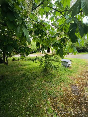 Un coin de paradis à 15 minutes de Mirepoix — Pour changer de vie sans renoncer à l’essentiel  Fanjeaux (11270)