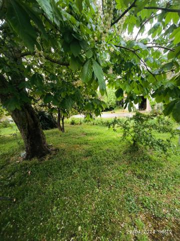 Un coin de paradis à 15 minutes de Mirepoix — Pour changer de vie sans renoncer à l’essentiel  Fanjeaux (11270)
