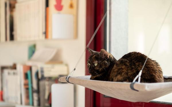 Appartement à vendre    3 pièces • 90 m2 Lyon 7