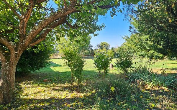 Maison à vendre    4 pièces •  Loudun