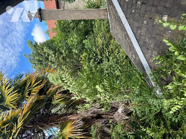 Maison de ville de 137 m² avec  garage et jardin de 559 m² et dépendances, en plein centre ville.