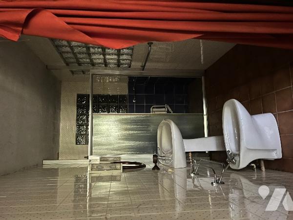 Maison de ville de 137 m² avec  garage et jardin de 559 m² et dépendances, en plein centre ville.