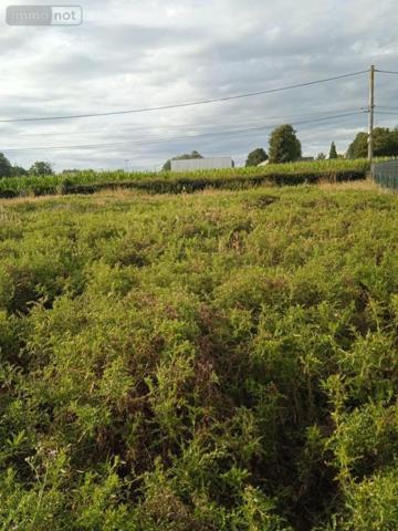 Terrain à Batir à vendre à Offranville en Seine-Maritime (76550), ref : VT107-76046