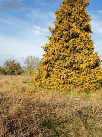 Terrain à Batir à vendre à Offranville en Seine-Maritime (76550), ref : VT107-76046