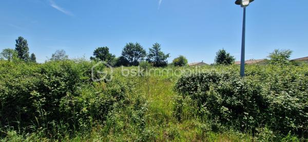 À découvrir à Viennay (79200) : ensemble immobilier offrant un fort potentiel pour un projet de construction ou d’investissement.

📍 La vente comprend l’ensemble des parcelles, non séparées et non viabilisées :

• Terrain avec maison : 786 m²
• Terrain : 738 m²
• Terrain : 450 m²
• Terrain : 1 068 m²
• Terrain : 989 m²

✨ Une maison hors d’air / hors d’eau est implantée sur la parcelle de 786 m².

La maison comprend :
• 83 m² habitables
• Garage de 18 m²

Travaux à prévoir :
• Électricité
• Assainissement
• Évacuations des eaux pluviales


Une belle opportunité pour investisseurs, constructeurs ou particuliers souhaitant réaliser un projet immobilier selon leurs envies.

📞 Pour plus d’informations ou organiser une visite :

Belén Pérez Lemes - Mandataire BSK IMMOBILIER
06 61 93 97 43