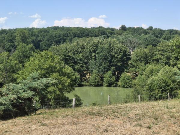 PROPRIETE DE CHARME A LA CAMPAGNE AVEC PICINE - ETANG - 3.3 HECTARES