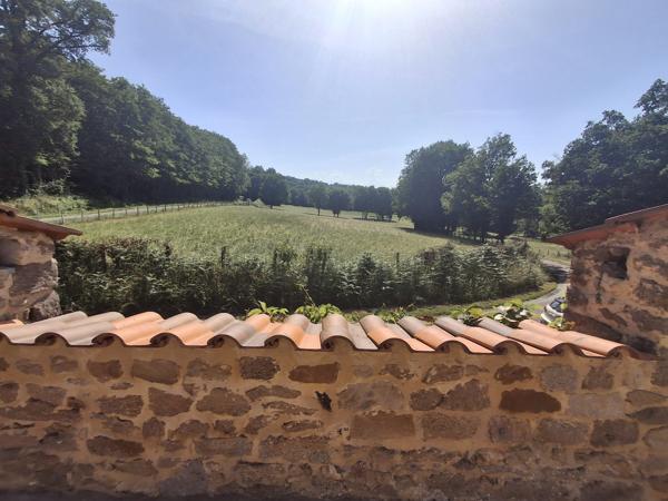 PROPRIETE DE CHARME A LA CAMPAGNE AVEC PICINE - ETANG - 3.3 HECTARES