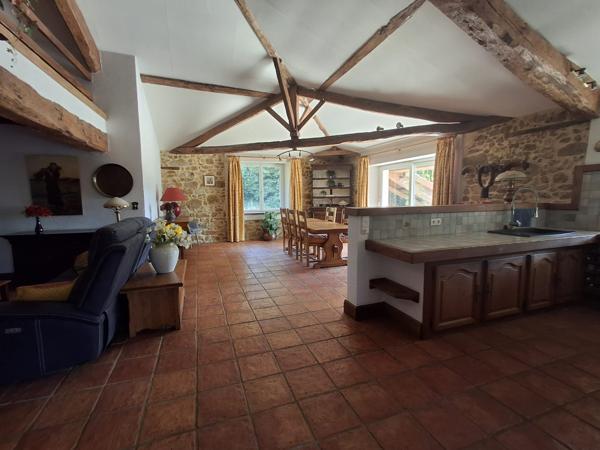 PROPRIETE DE CHARME A LA CAMPAGNE AVEC PICINE - ETANG - 3.3 HECTARES