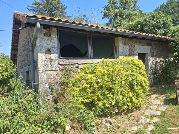 PROPRIETE DE CHARME A LA CAMPAGNE AVEC PICINE - ETANG - 3.3 HECTARES