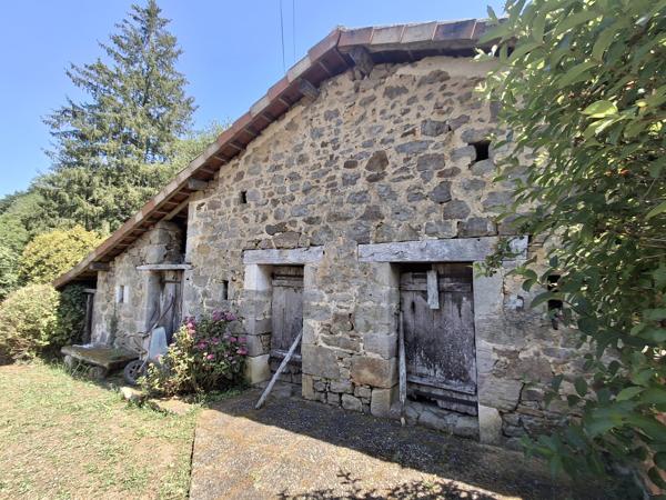 PROPRIETE DE CHARME A LA CAMPAGNE AVEC PICINE - ETANG - 3.3 HECTARES