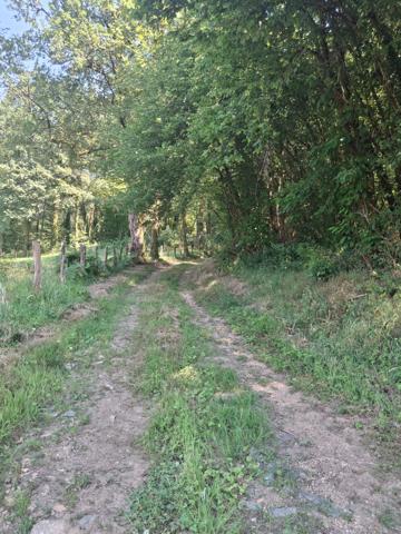 PROPRIETE DE CHARME A LA CAMPAGNE AVEC PICINE - ETANG - 3.3 HECTARES