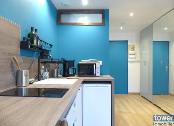 Studio
                                                                                                                                                                                                                                                                                                                        1 pièce(s)                                                                                                                                                                                                                                                                                                                              17  m²