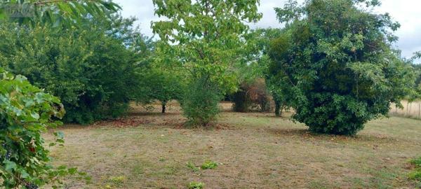 Maison à vendre à L'Île-Bouchard dans l'Indre-et-Loire (37220), ref : 37060-2310