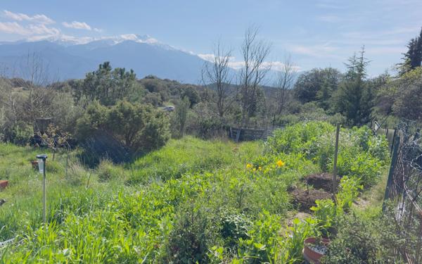 Terrain à vendre    Arboussols