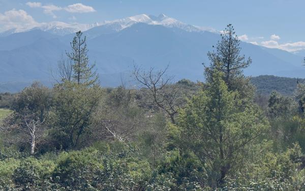 Terrain à vendre    Arboussols