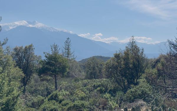 Terrain à vendre    Arboussols