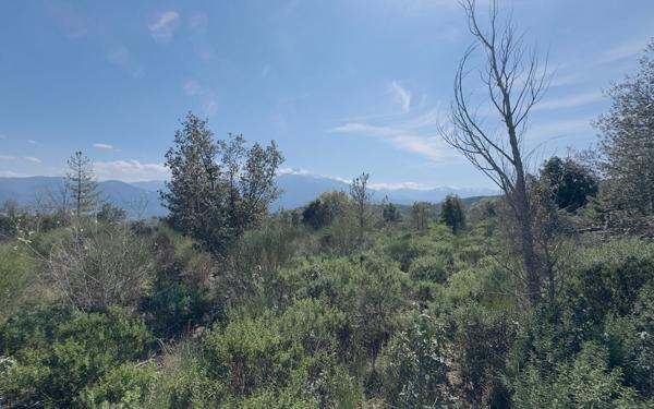 Terrain à vendre    Arboussols