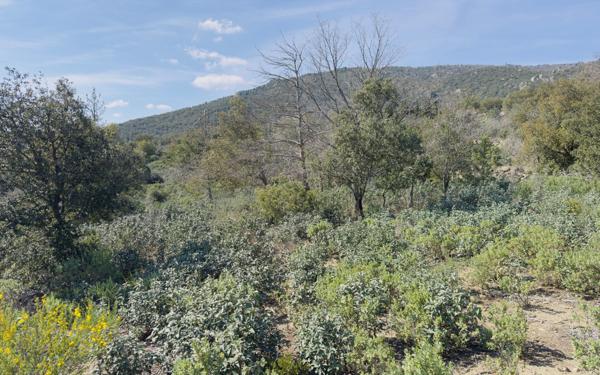 Terrain à vendre    Arboussols