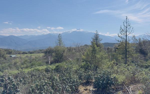 Terrain à vendre    Arboussols