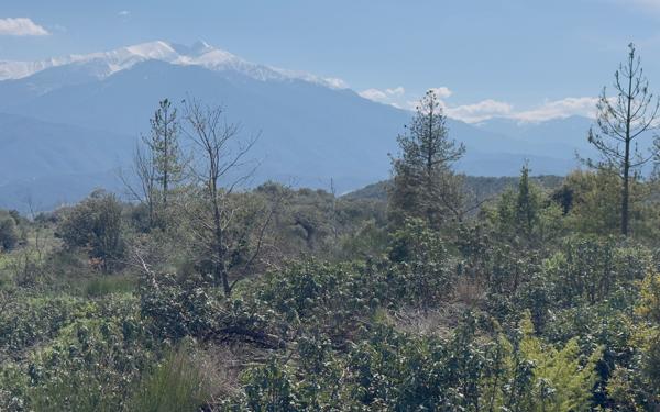 Terrain à vendre    Arboussols