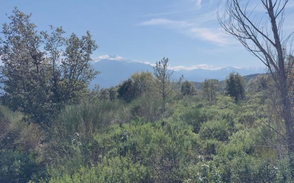 Terrain à vendre    Arboussols