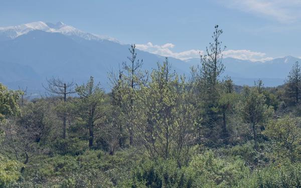 Terrain à vendre    Arboussols