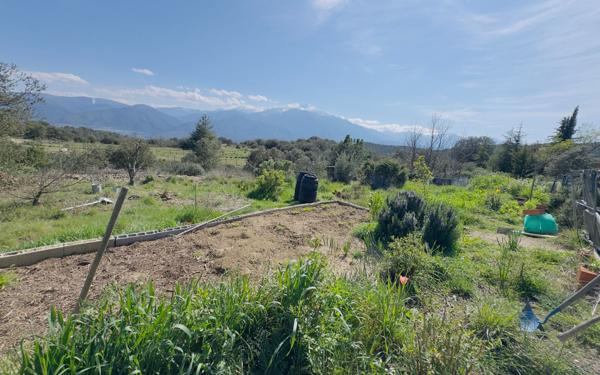 Terrain à vendre    Arboussols