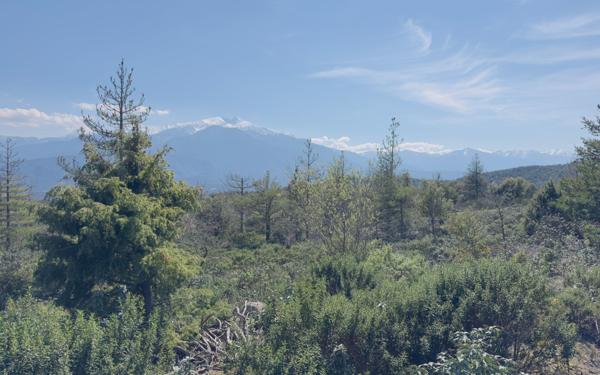 Terrain à vendre    Arboussols